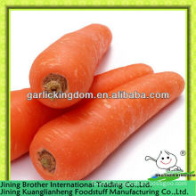 China carrot exporter